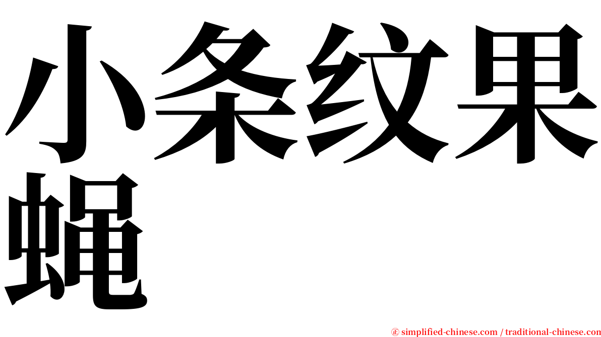 小条纹果蝇 serif font