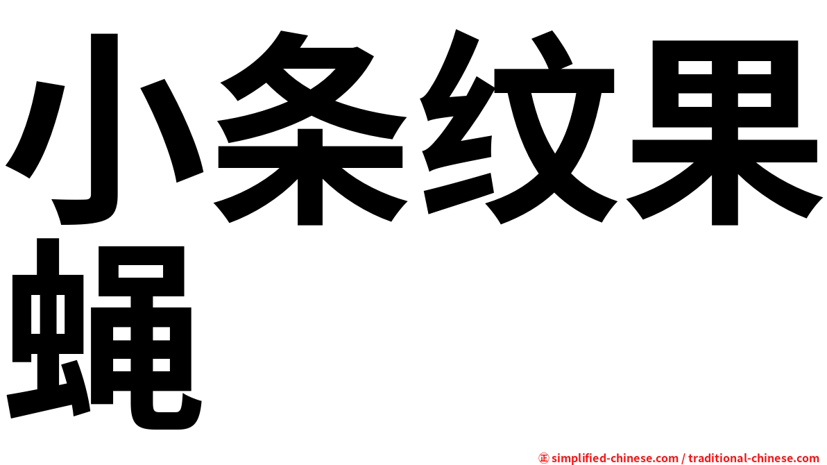 小条纹果蝇
