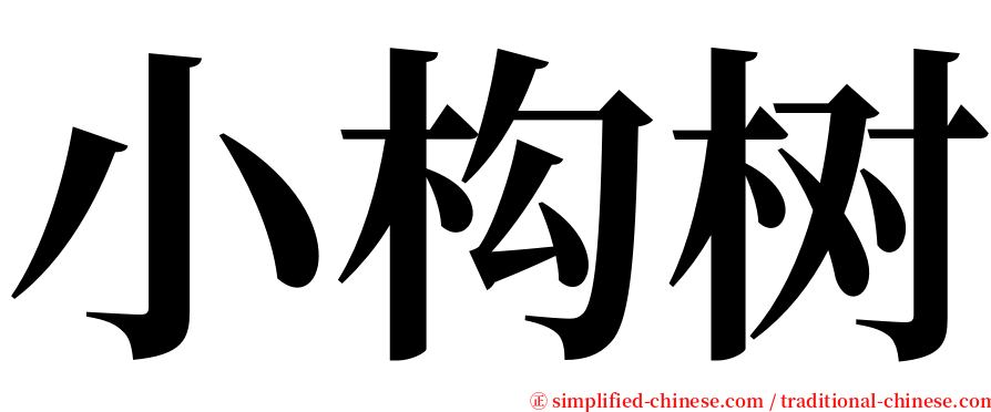 小构树 serif font