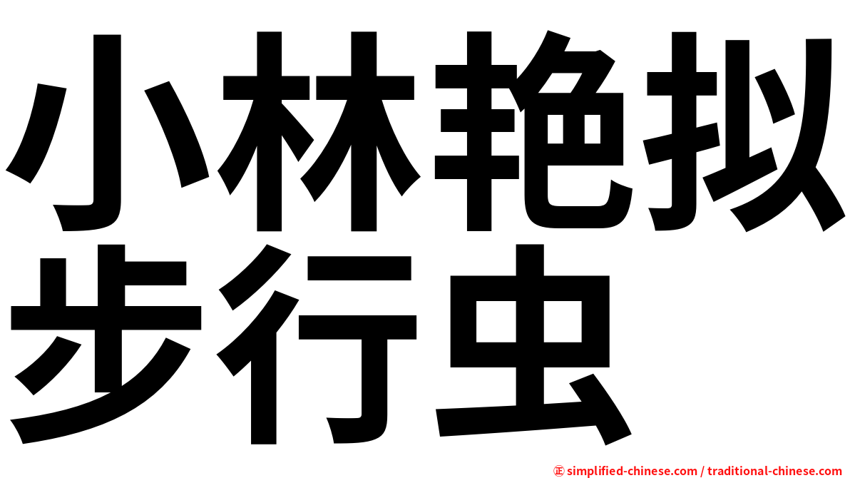 小林艳拟步行虫