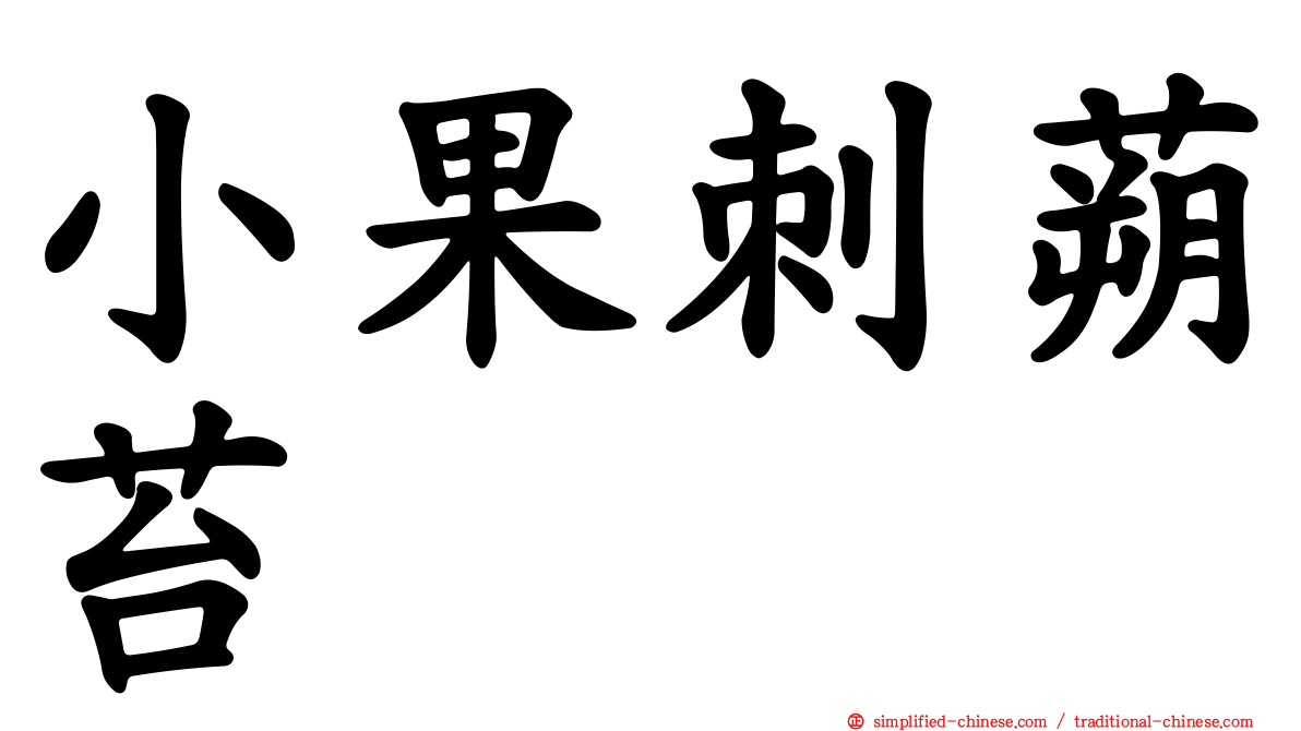 小果刺蒴苔
