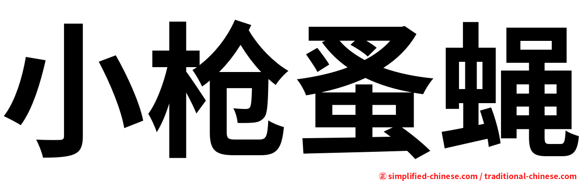 小枪蚤蝇