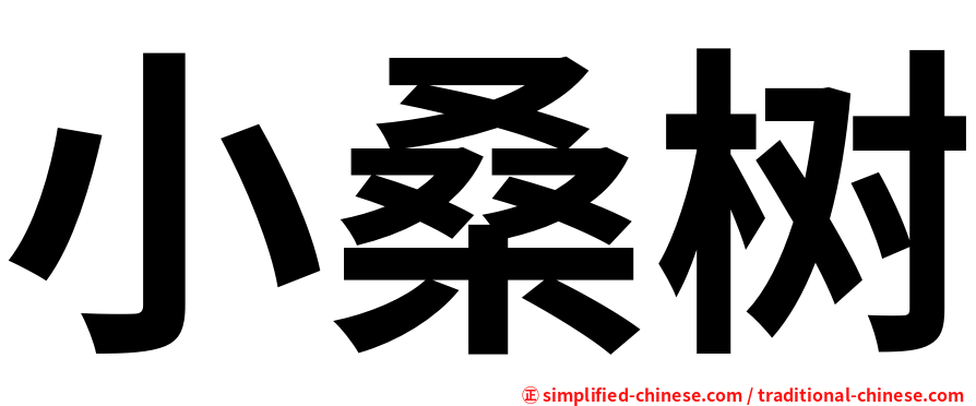 小桑树