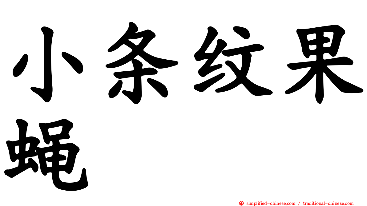 小条纹果蝇