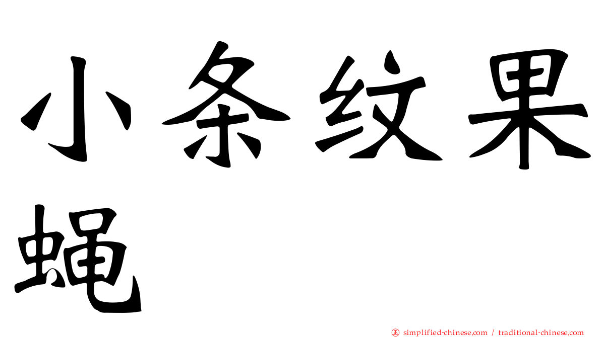 小条纹果蝇