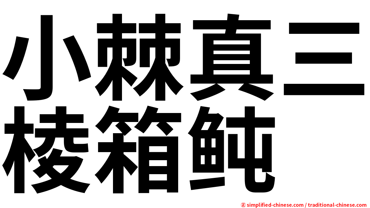 小棘真三棱箱鲀