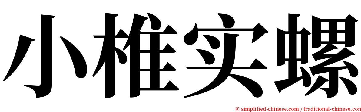 小椎实螺 serif font
