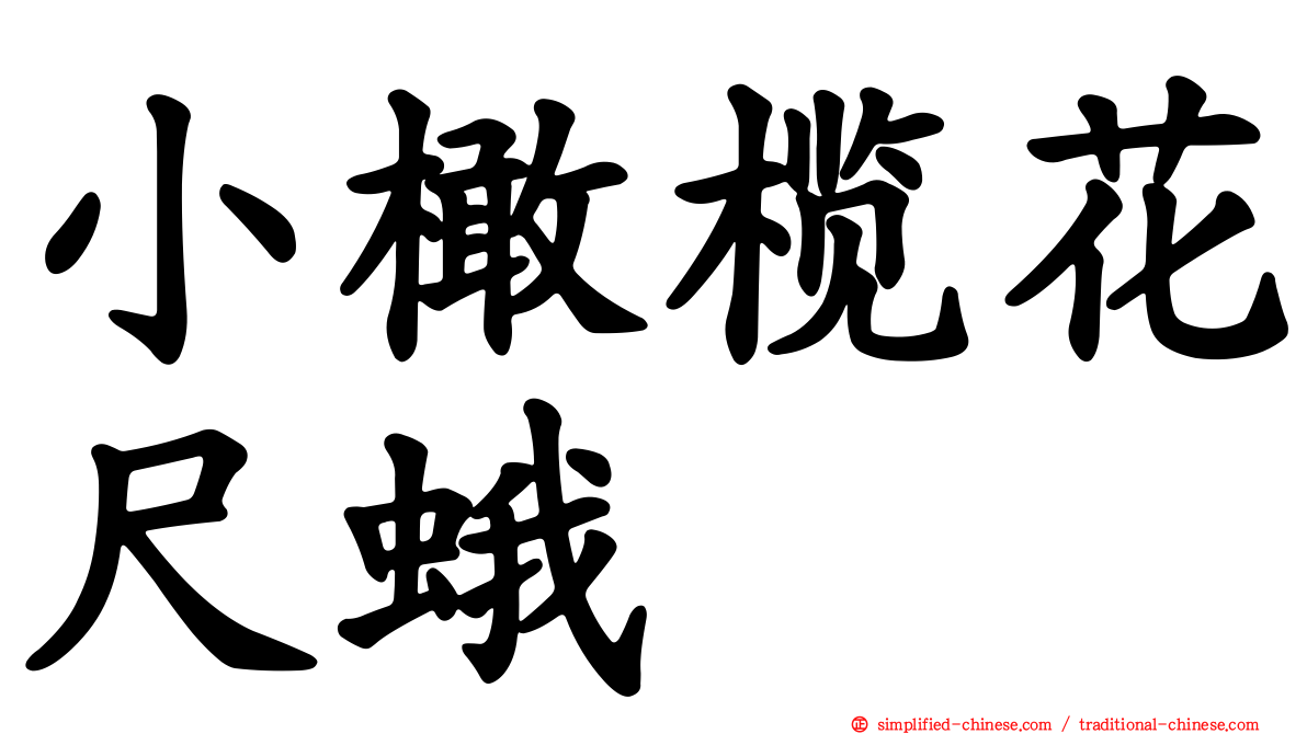 小橄榄花尺蛾
