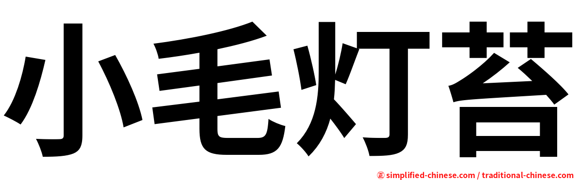 小毛灯苔