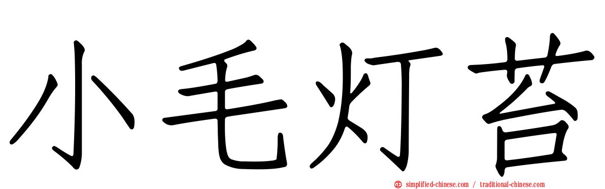 小毛灯苔
