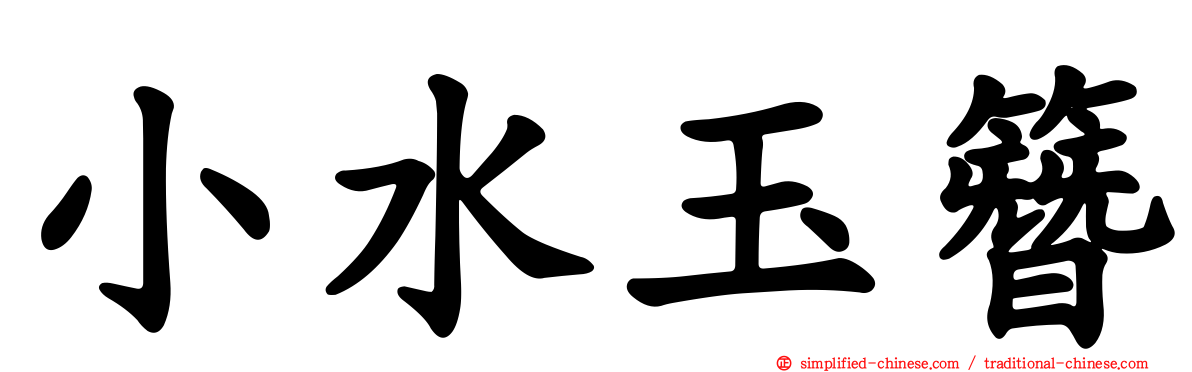 小水玉簪