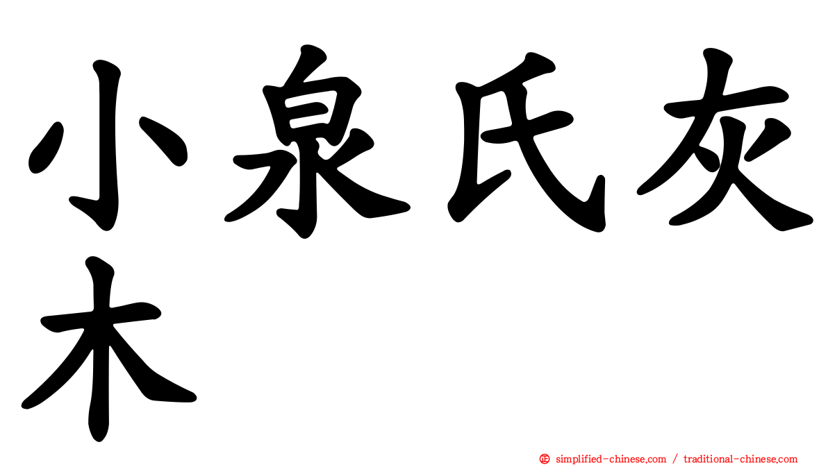 小泉氏灰木