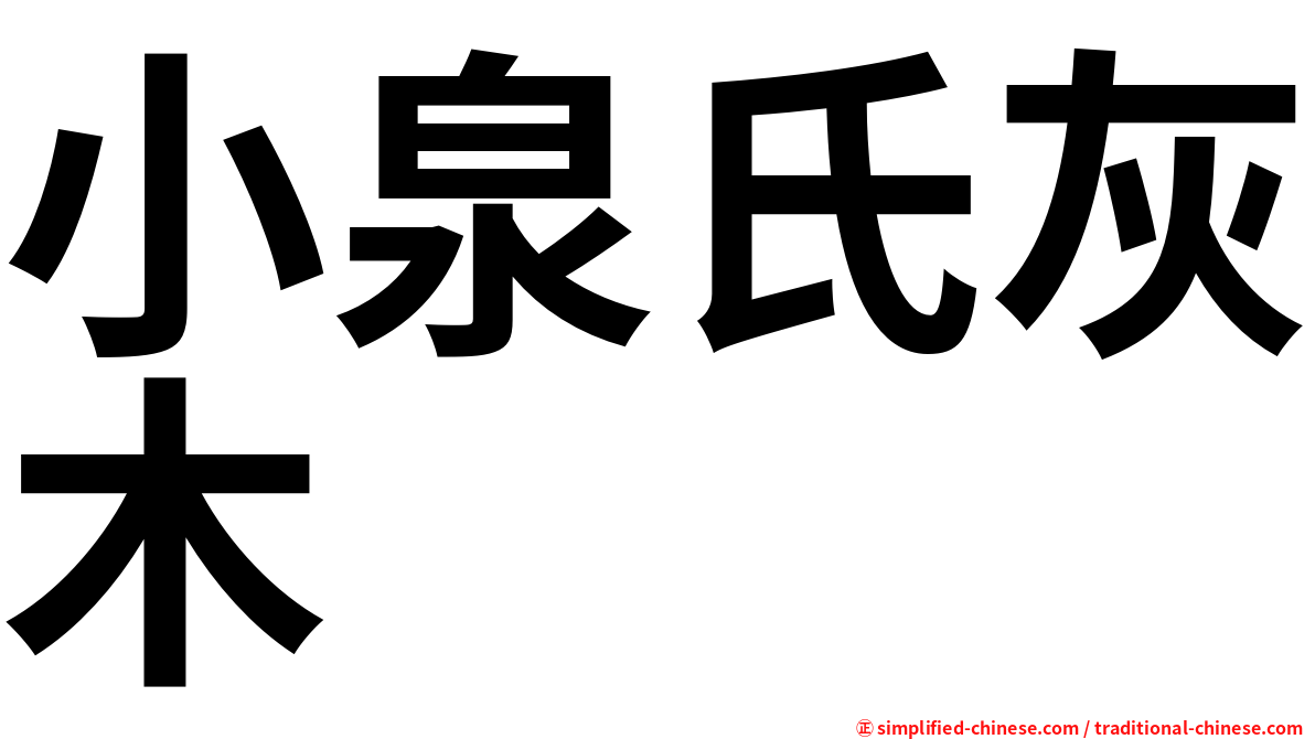小泉氏灰木