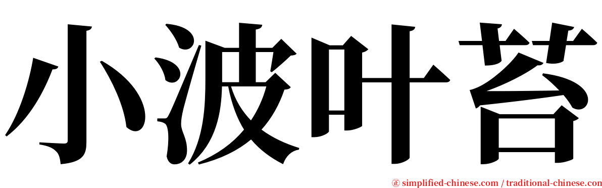 小波叶苔 serif font