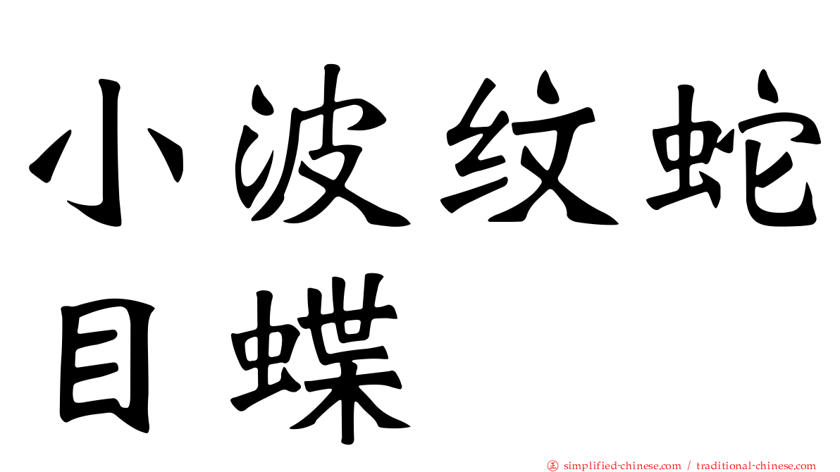小波纹蛇目蝶