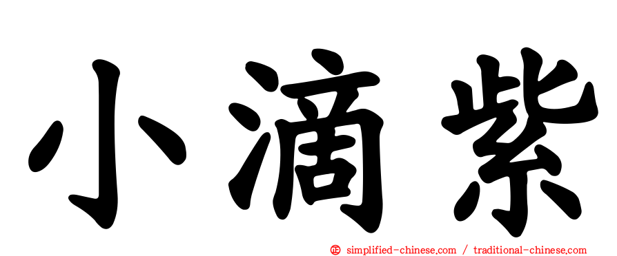 小滴紫