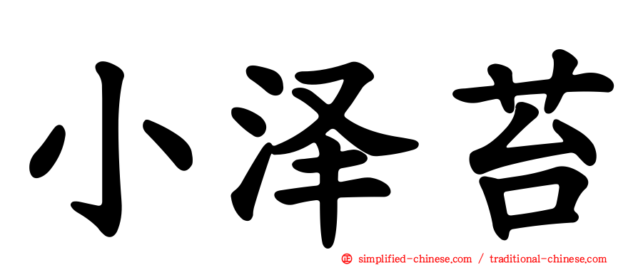 小泽苔