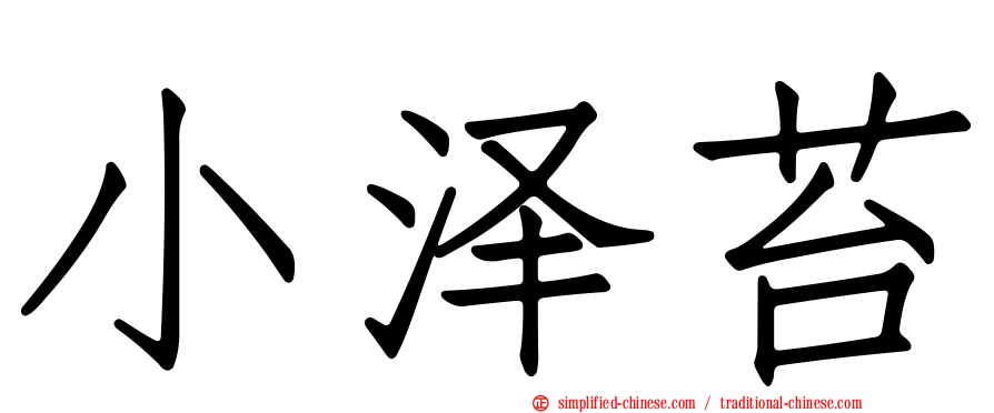 小泽苔