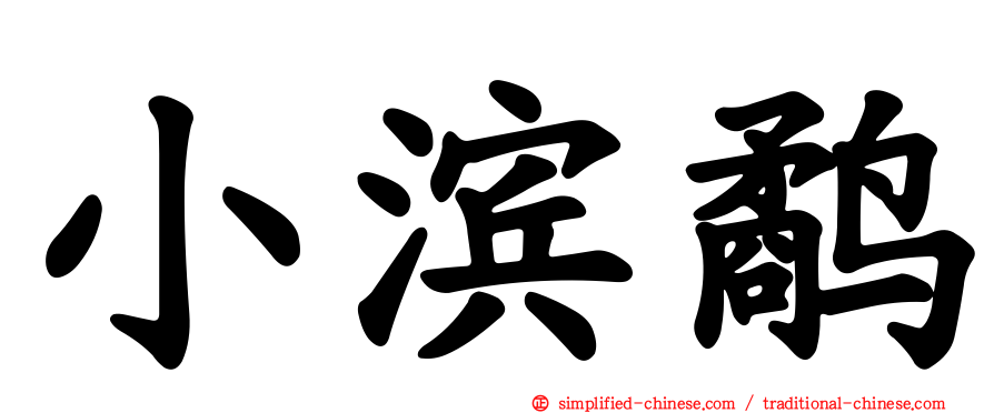 小滨鹬