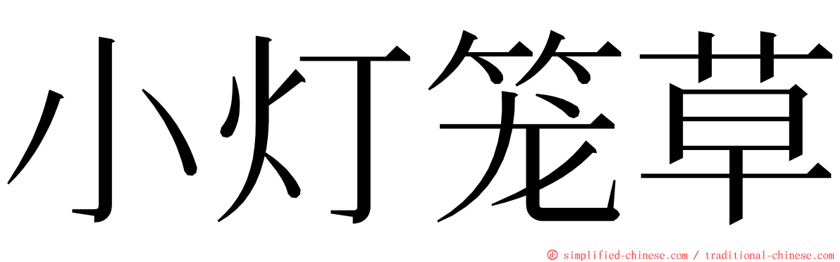 小灯笼草 ming font