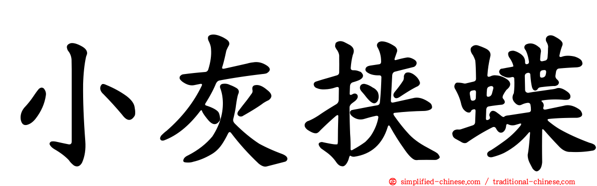 小灰挟蝶