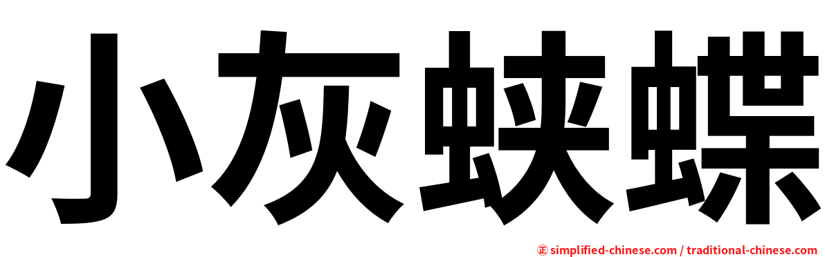 小灰蛱蝶