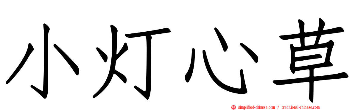 小灯心草