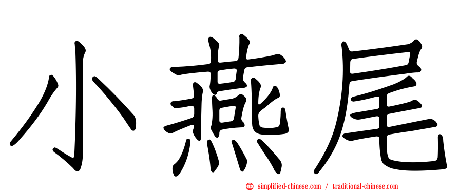 小燕尾