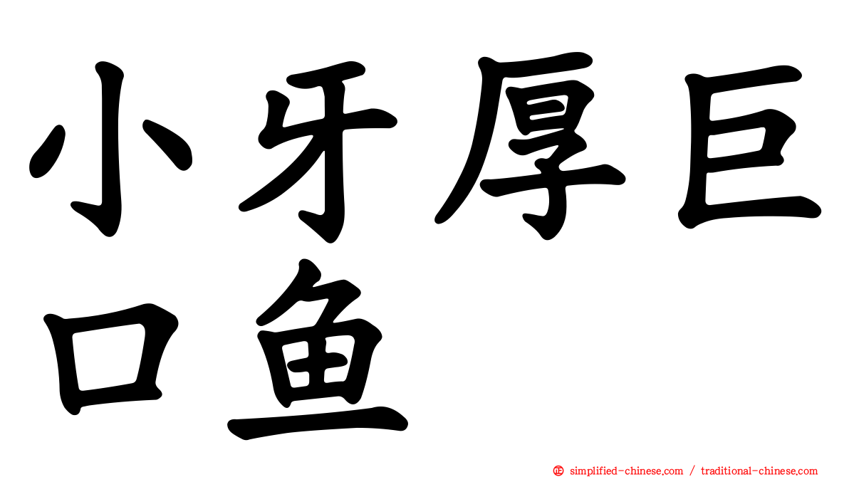 小牙厚巨口鱼
