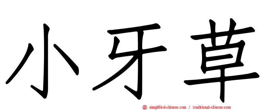 小牙草