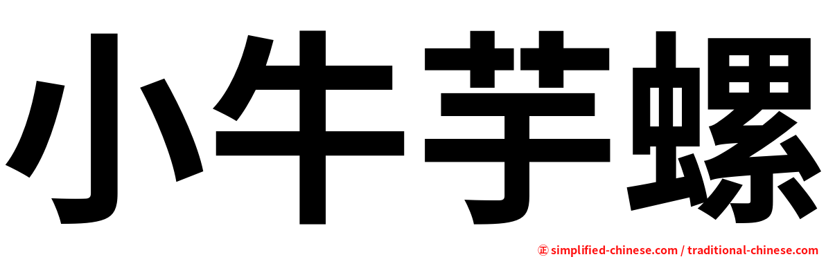小牛芋螺