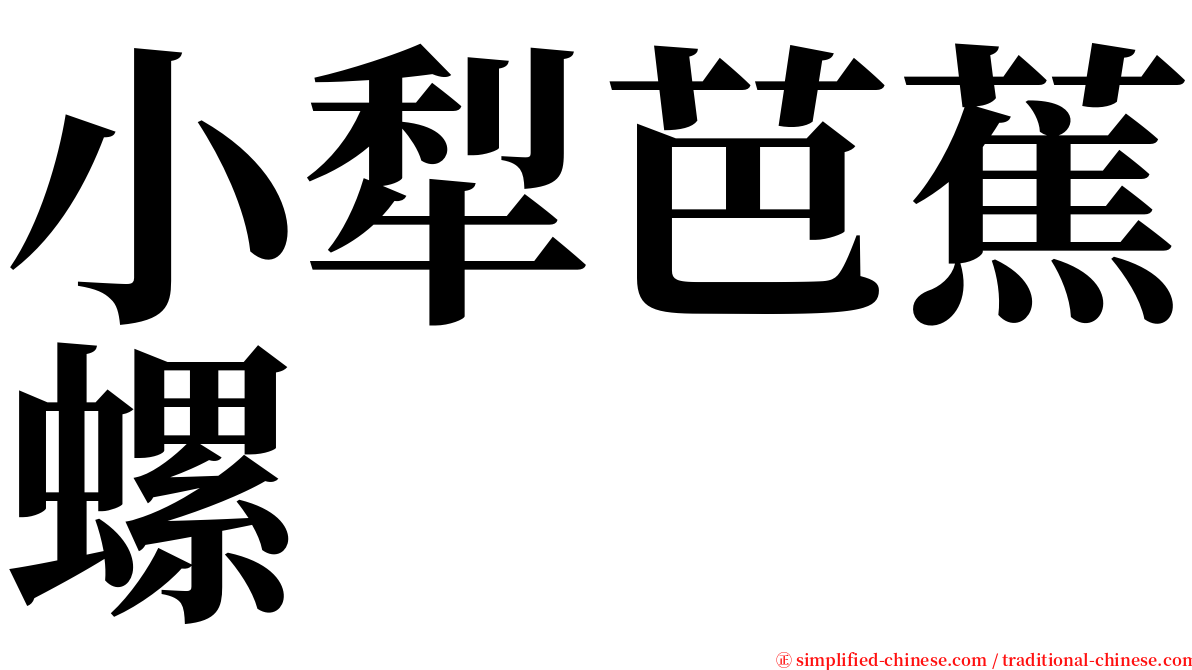小犁芭蕉螺 serif font