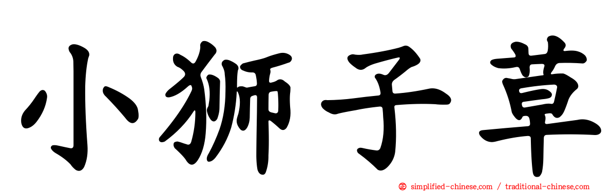 小狮子草