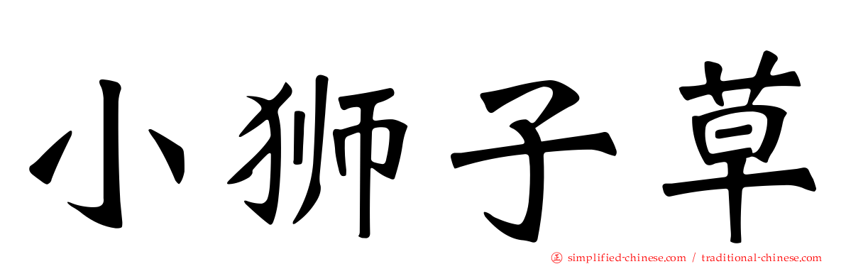小狮子草