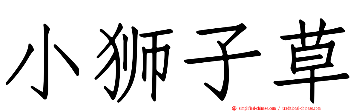 小狮子草
