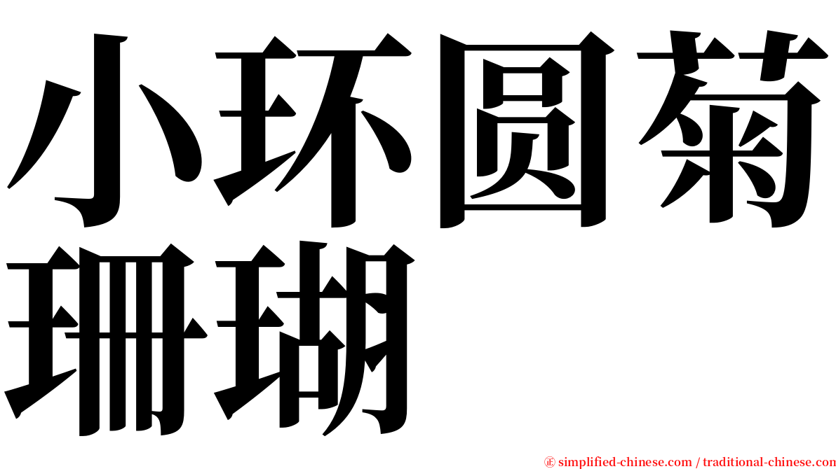 小环圆菊珊瑚 serif font