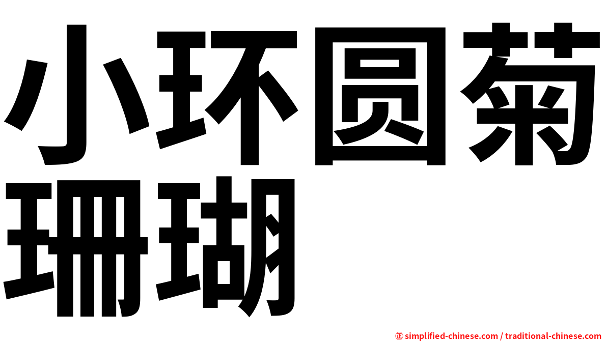 小环圆菊珊瑚