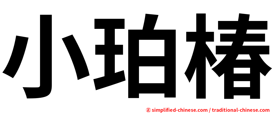 小珀椿