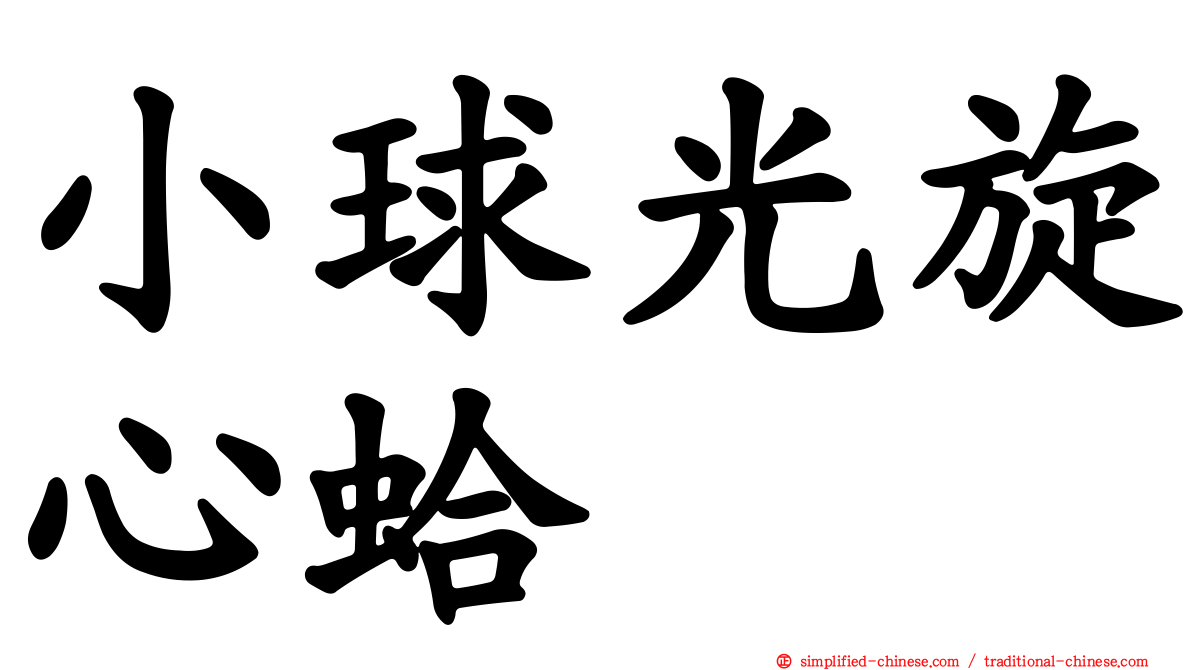 小球光旋心蛤