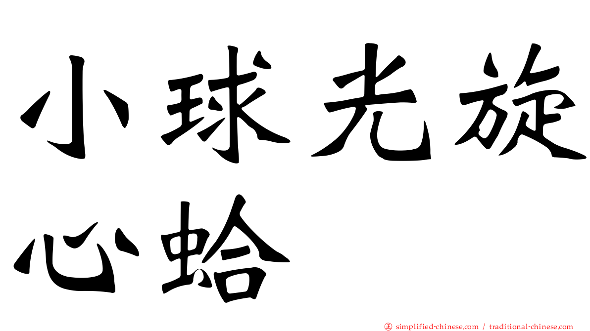 小球光旋心蛤