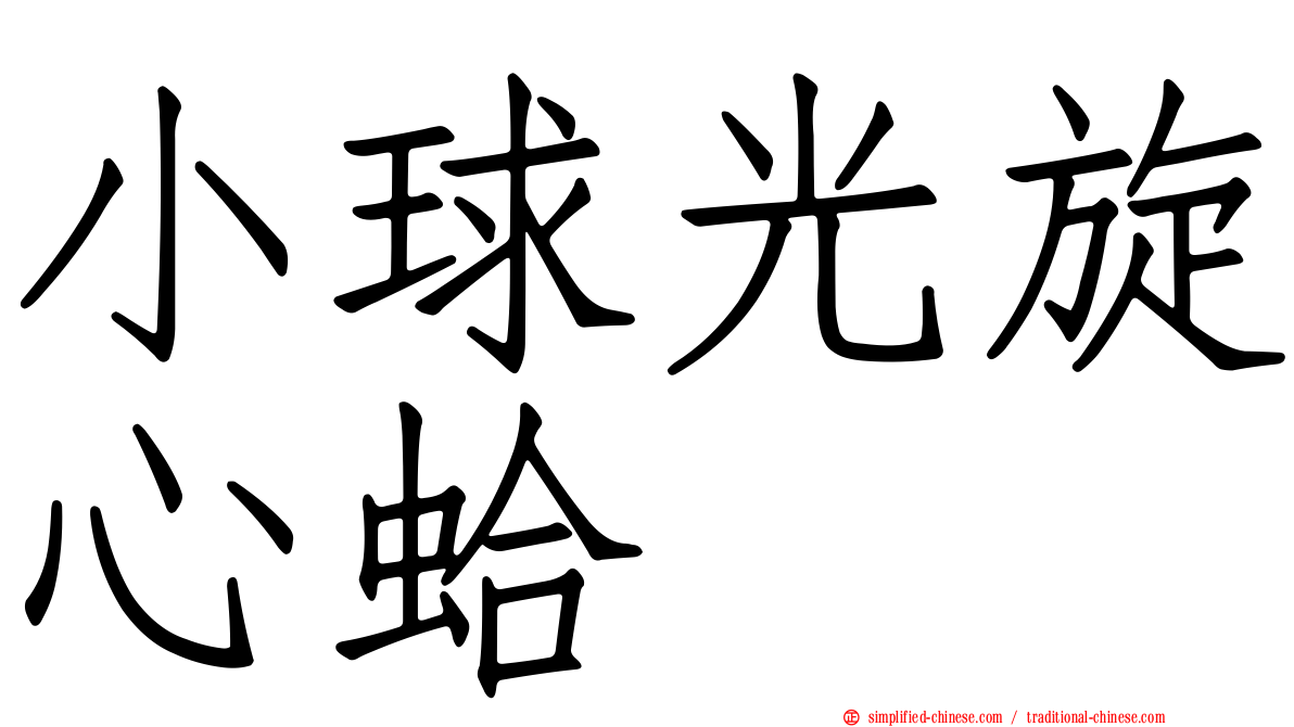 小球光旋心蛤