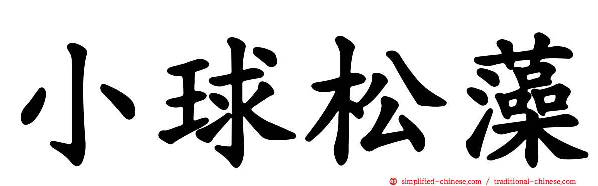 小球松藻