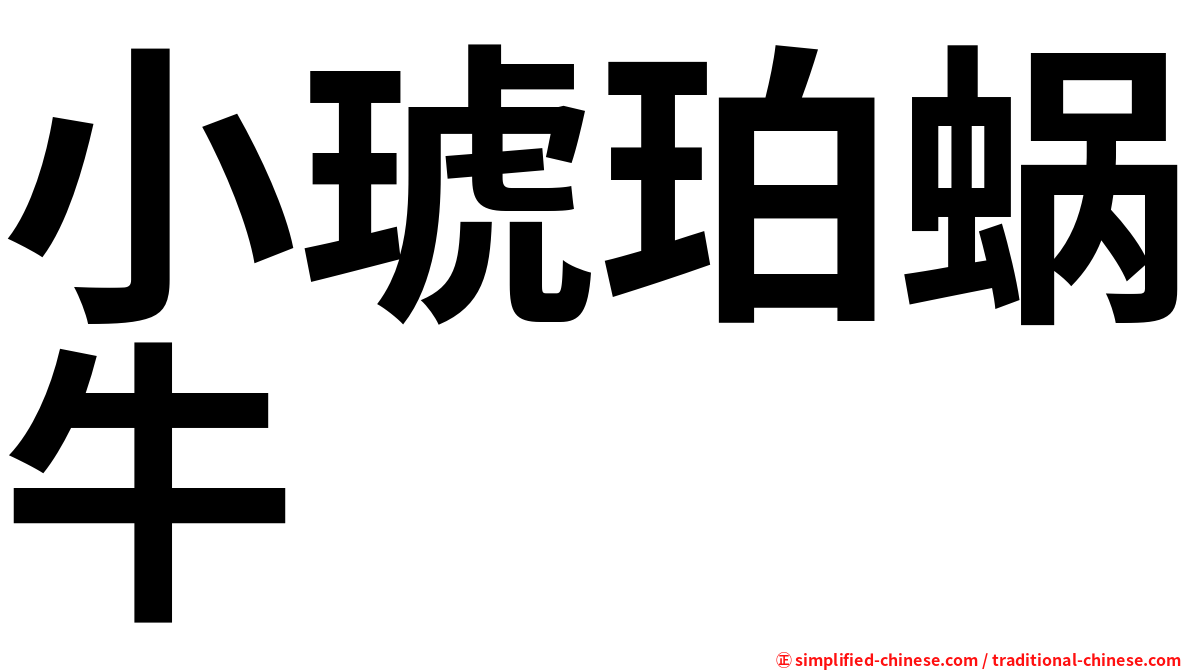 小琥珀蜗牛