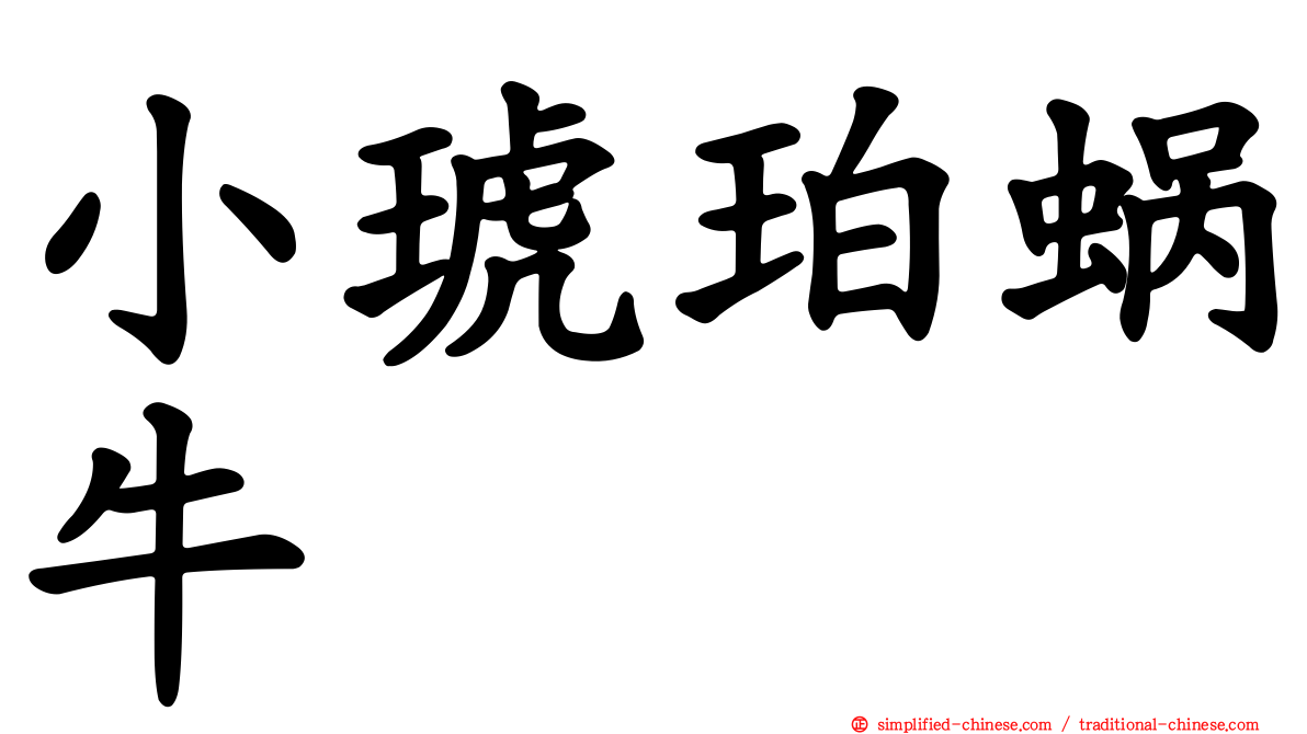 小琥珀蜗牛