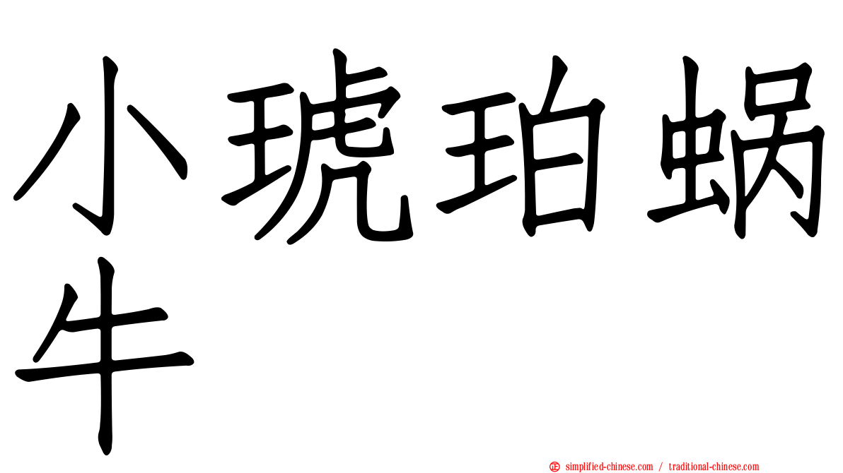 小琥珀蜗牛
