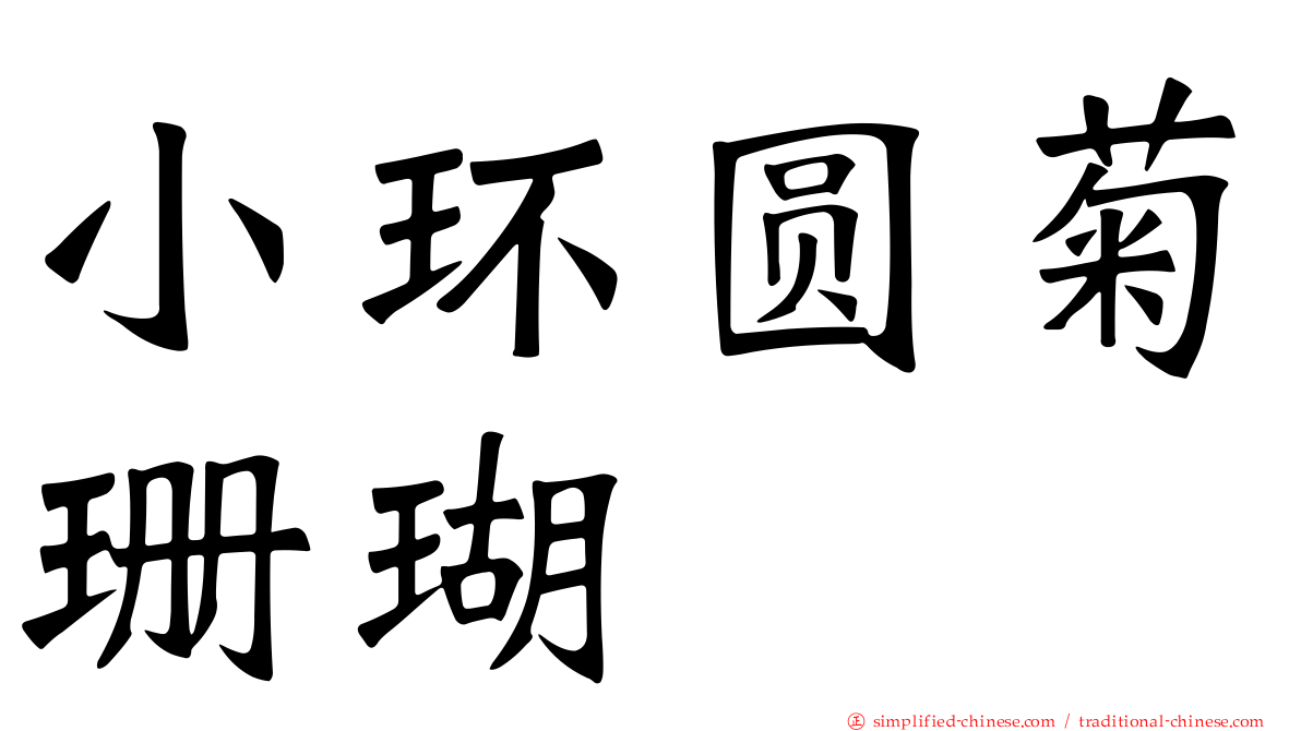 小环圆菊珊瑚