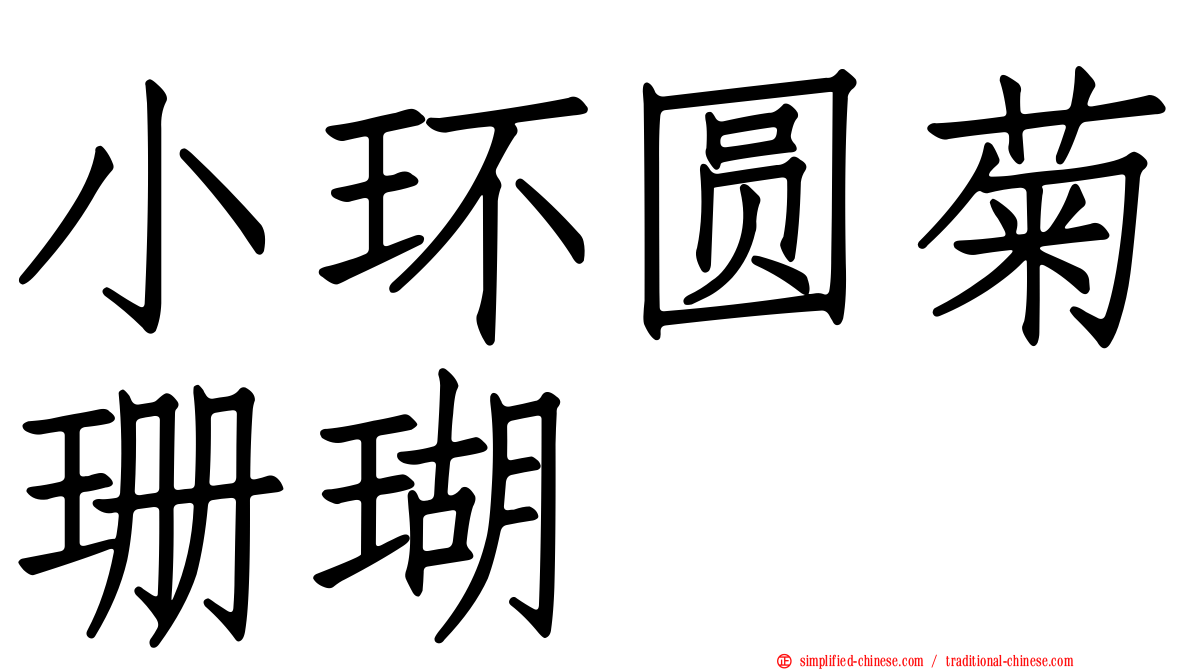小环圆菊珊瑚