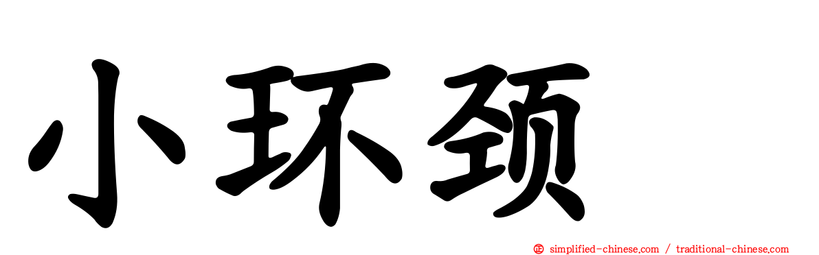 小环颈鸻