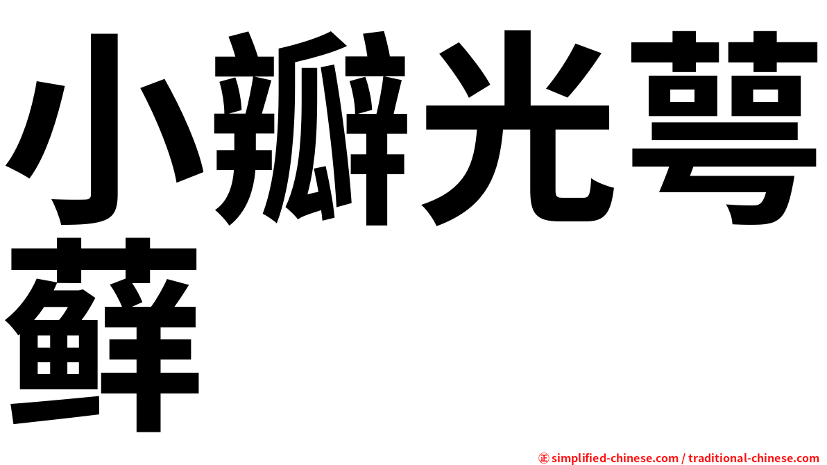 小瓣光萼藓