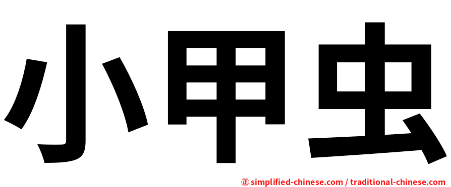 小甲虫